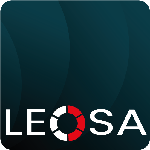 LEOSA Webagentur Konstanz
